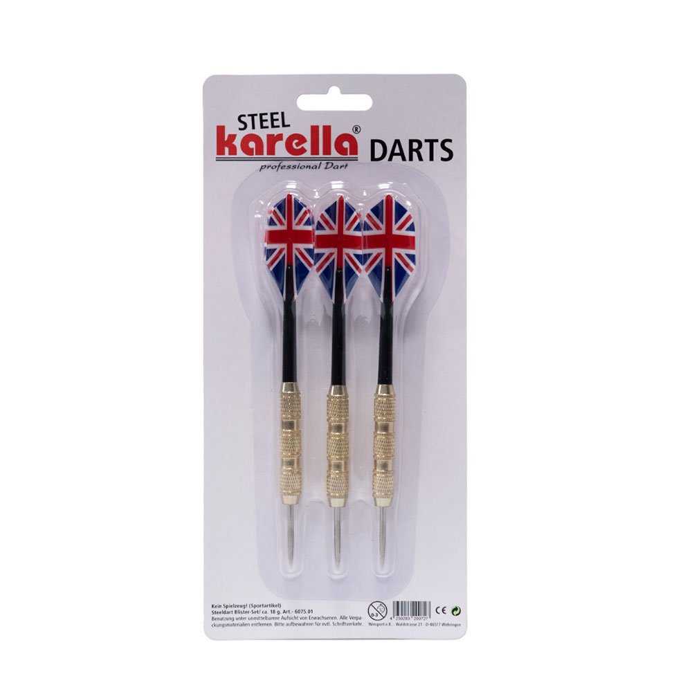 Steeldart Blister-Set ca. 18g